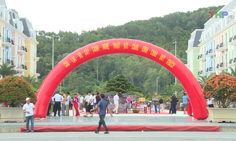 Điểm hẹn du lịch: C&acirc;y cảnh nghệ thuật       