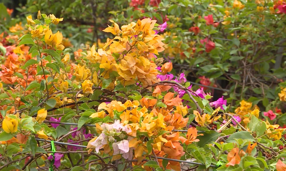 Chợ qu&ecirc; giữa l&ograve;ng th&agrave;nh phố