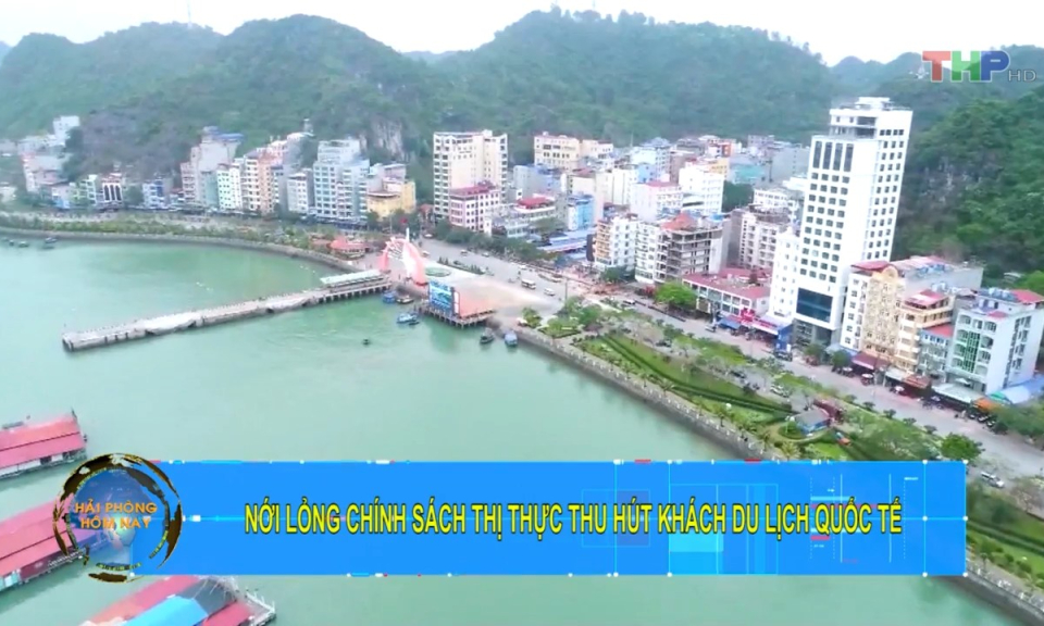 Bản tin Hải Ph&ograve;ng h&ocirc;m nay trưa (26/6/2023)