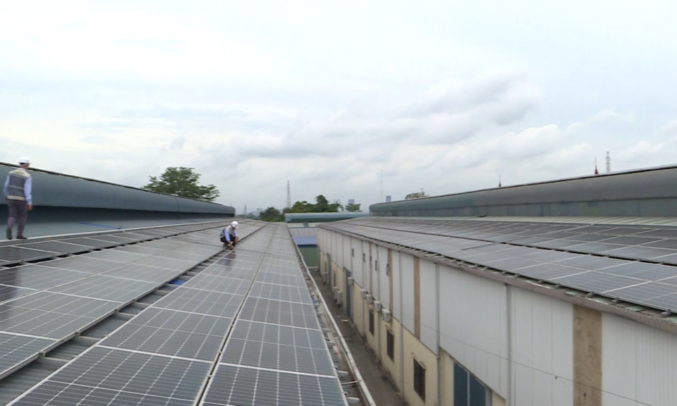 Hải Ph&ograve;ng chuyển động v&agrave; kết nối: Ph&aacute;t triển năng lượng t&aacute;i tạo         