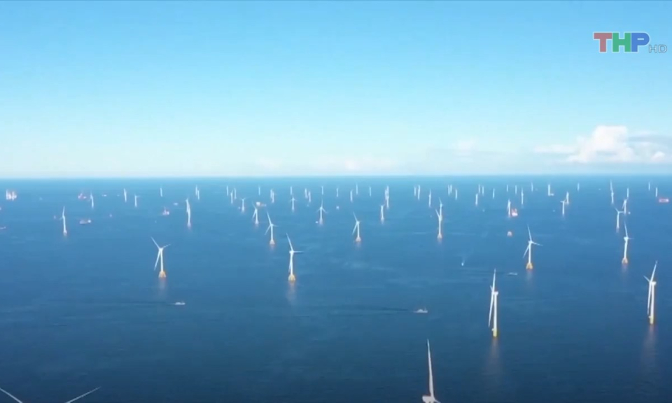 Bản tin Hải Ph&ograve;ng h&ocirc;m nay tối (26/6/2023)