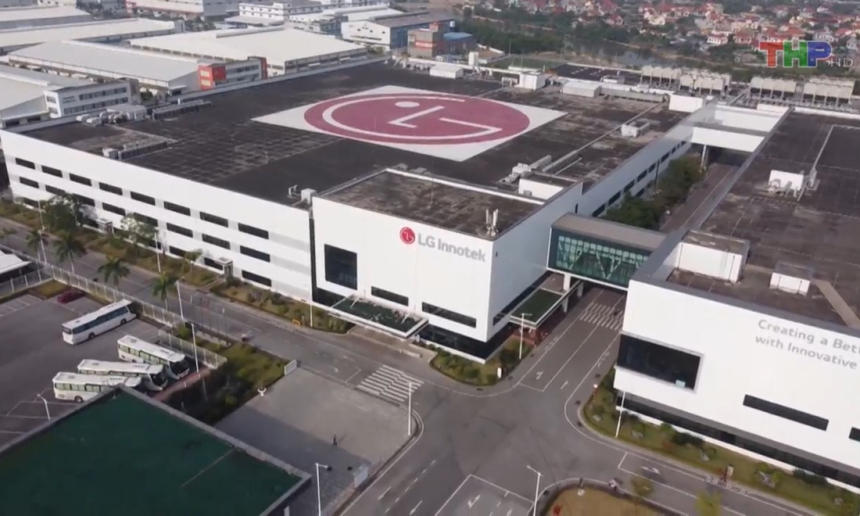 Bản tin Hải Ph&ograve;ng h&ocirc;m nay trưa (27/6/2023)