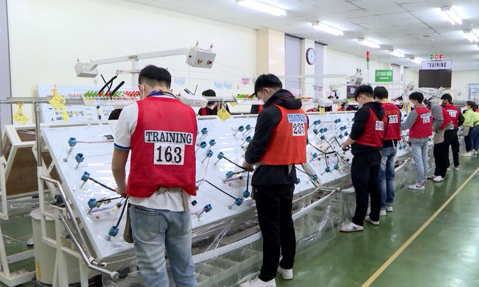 Nhật Bản đ&atilde; đầu tư 151 dự &aacute;n tại Hải Ph&ograve;ng