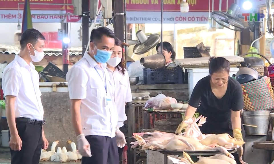 Bản tin Hải Ph&ograve;ng h&ocirc;m nay tối (28/6/2023)