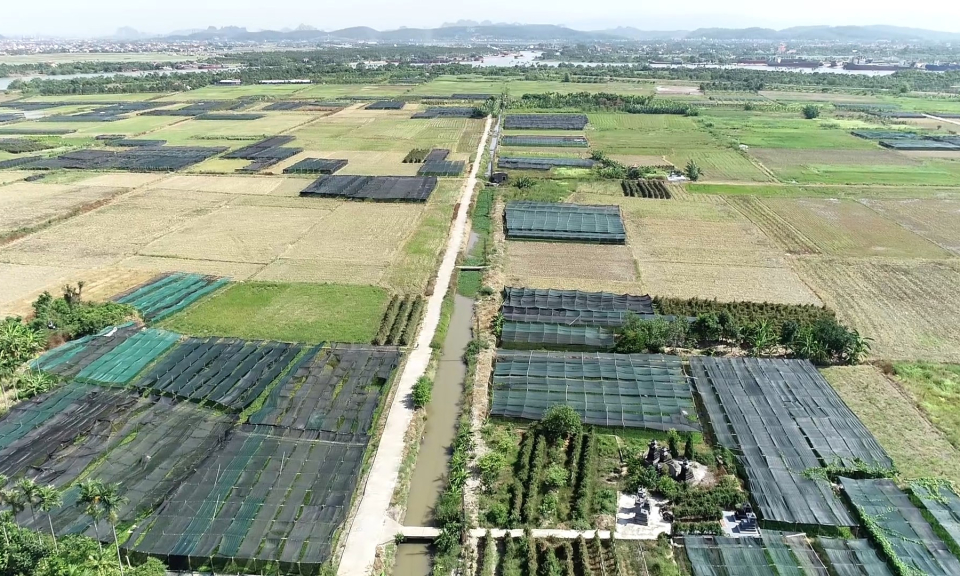 N&ocirc;ng th&ocirc;n mới Hải Ph&ograve;ng : Th&aacute;o gỡ kh&oacute; khăn về ph&aacute;t triển n&ocirc;ng nghiệp, thủy sản