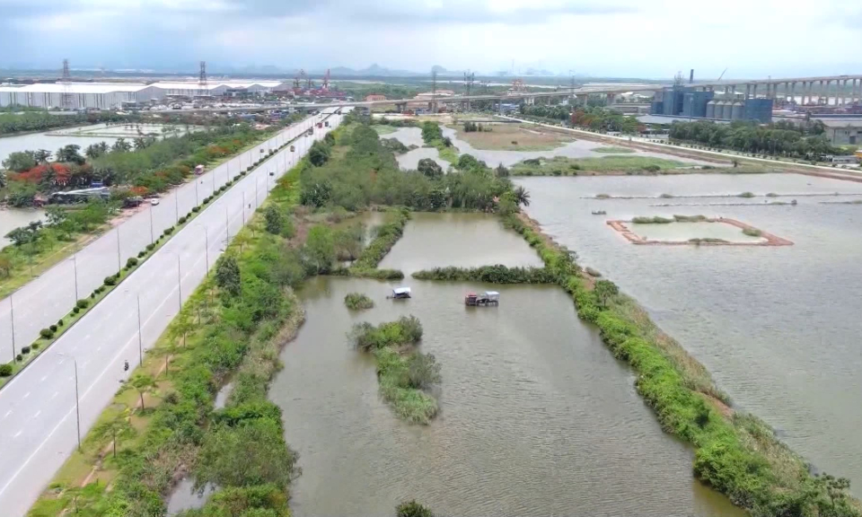 Hải Ph&ograve;ng t&igrave;m nh&agrave; đầu tư cho dự &aacute;n khu nh&agrave; ở thương mại