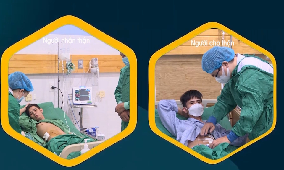 Y tế sức khỏe: Hải Ph&ograve;ng lần đầu ti&ecirc;n triển khai Dự &aacute;n gh&eacute;p thận 