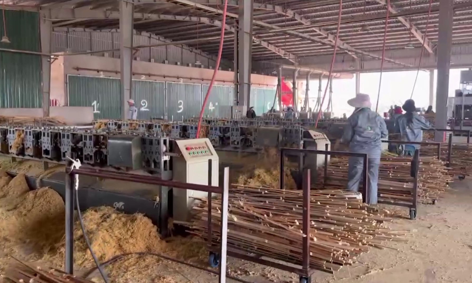 Tạp ch&iacute; kinh tế: Doanh nghiệp khởi nghiệp ph&aacute;t huy nội lực &ldquo;vượt kh&oacute;&rdquo;       