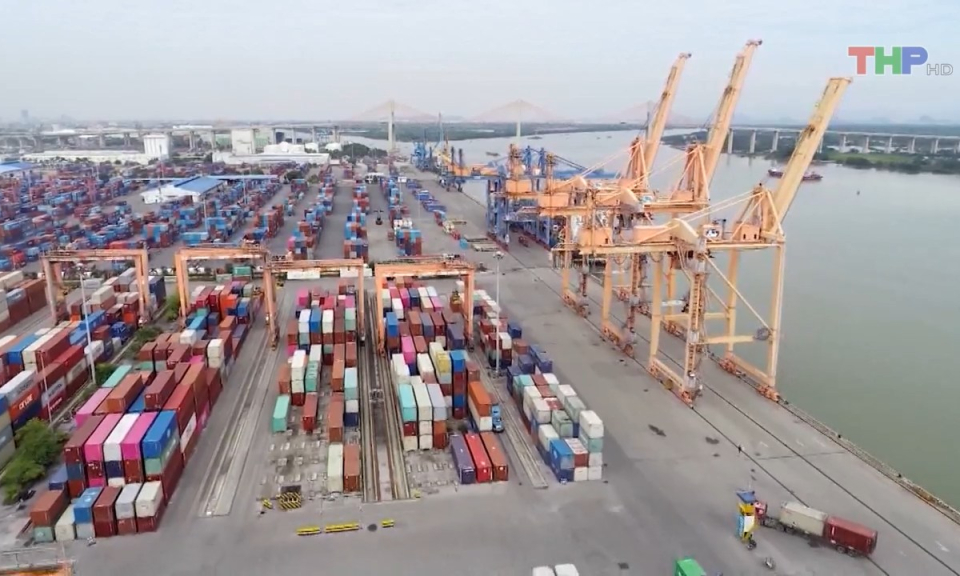 Bản tin Hải Ph&ograve;ng h&ocirc;m nay trưa (11/7/2023)