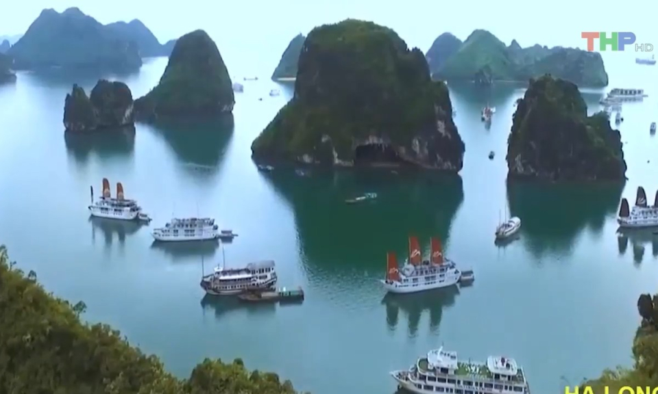 Bản tin tiếng Trung (11/7/2023)