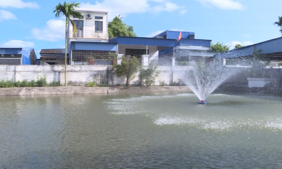 Hộp thư truyền h&igrave;nh: Kiểm tra việc cung cấp nước tại x&atilde; Đ&ocirc;ng Phương, huyện Kiến Thụy