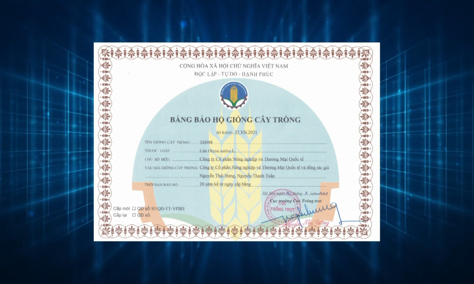 Khoa học công nghệ và đời sống: Hiệu quả vận hành điểm tư vấn, tra cứu về sở hữu trí tuệ 