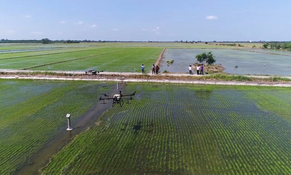 Hải Ph&ograve;ng những g&oacute;c nh&igrave;n: Ph&aacute;t triển n&ocirc;ng nghiệp c&ocirc;ng nghệ cao 