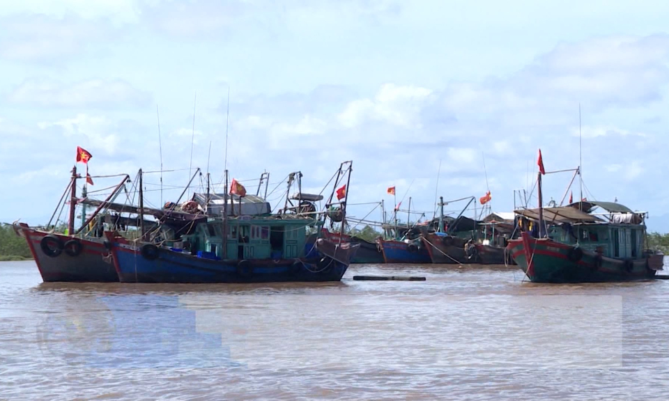 Hải Ph&ograve;ng quyết liệt triển khai c&ocirc;ng t&aacute;c ứng ph&oacute; b&atilde;o số 1