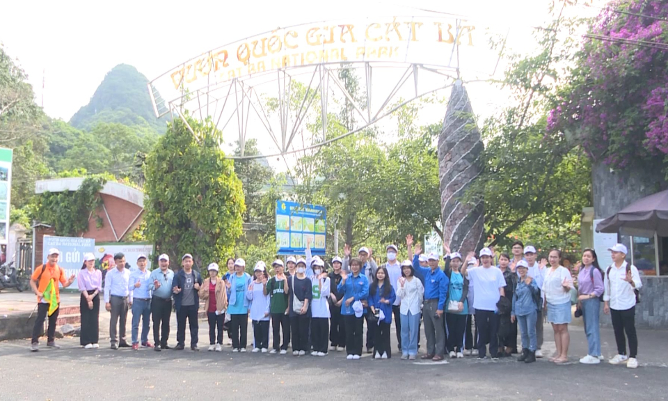 Măng non đất Cảng: Trải nghiệm rừng quốc gia C&aacute;t B&agrave;