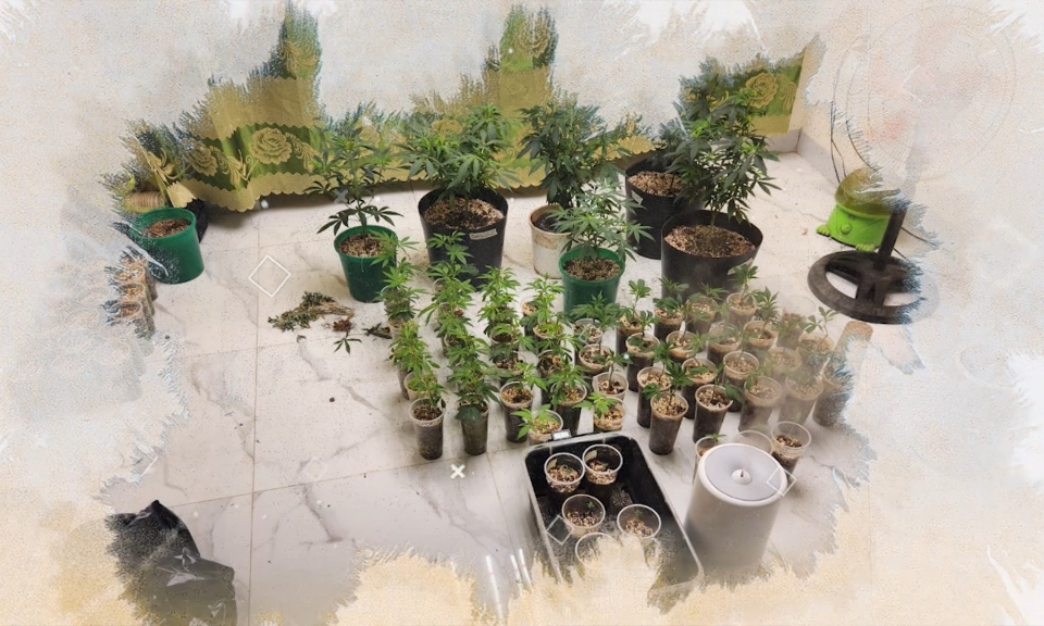 Ph&aacute;p luật v&agrave; cuộc sống: Tăng cường đấu tranh ph&ograve;ng, chống tội phạm về ma t&uacute;y 