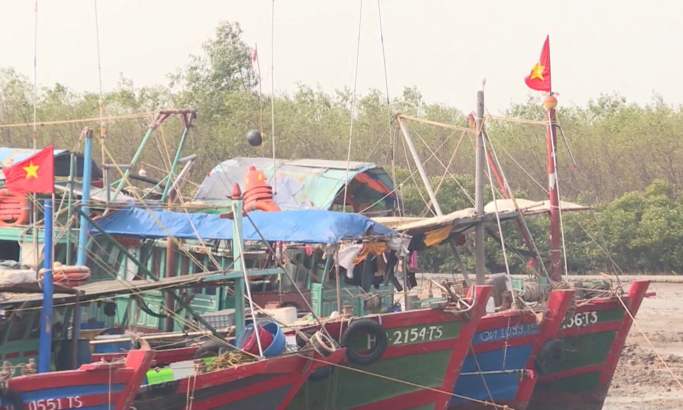 Hải Ph&ograve;ng th&uacute;c đẩy ngăn chặn ngư cụ cấm tr&ecirc;n địa b&agrave;n