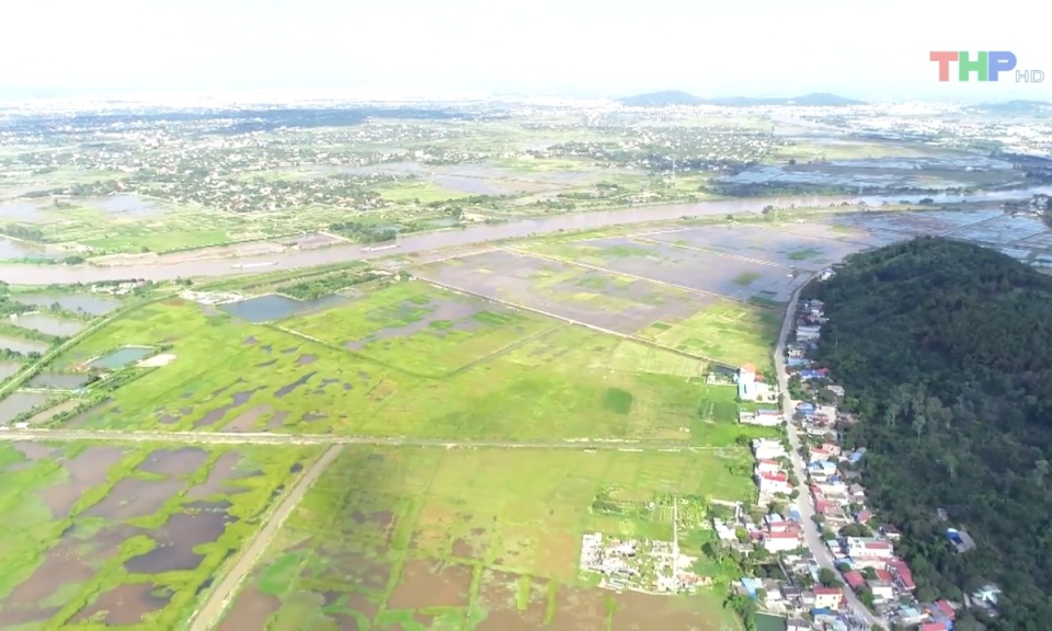 Bản tin thời sự tối (21/7/2023)