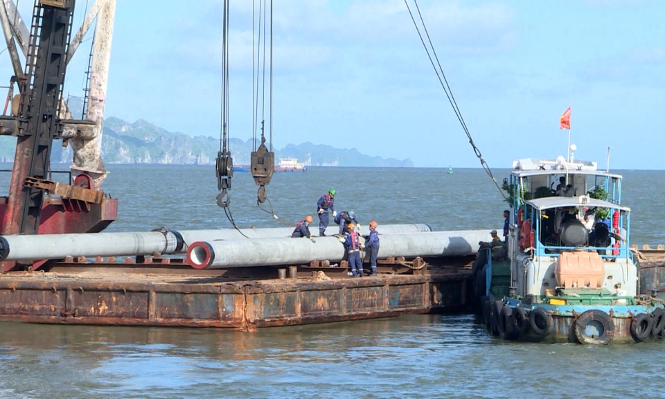 Đẩy nhanh tiến độ thi c&ocirc;ng dự &aacute;n Cảng cửa ng&otilde; quốc tế Hải Ph&ograve;ng