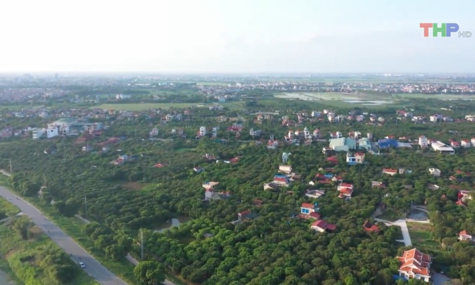 Bản tin Hải Ph&ograve;ng h&ocirc;m nay trưa (25/7/2023)
