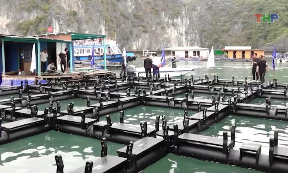 Bản tin Hải Ph&ograve;ng h&ocirc;m nay trưa (26/7/2023)