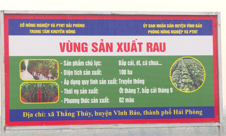 N&ocirc;ng th&ocirc;n mới Hải Ph&ograve;ng: Hướng đi n&agrave;o cho ph&aacute;t triển li&ecirc;n kết sản xuất trong n&ocirc;ng nghiệp