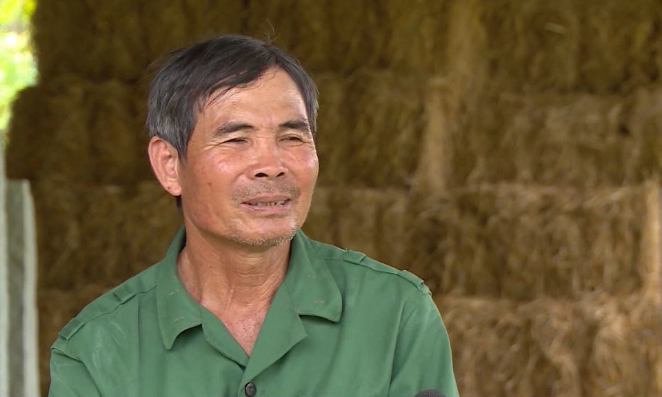 Tấm gương cựu chiến binh l&agrave;m gi&agrave;u từ n&ocirc;ng nghiệp v&agrave; chăn nu&ocirc;i