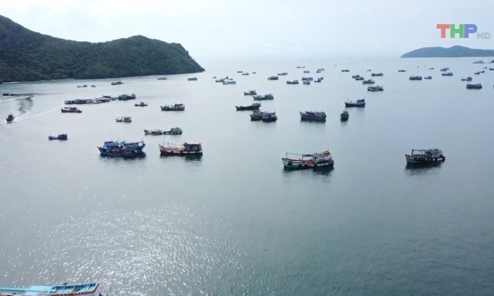 Bản tin Hải Ph&ograve;ng h&ocirc;m nay tối (27/7/2023)