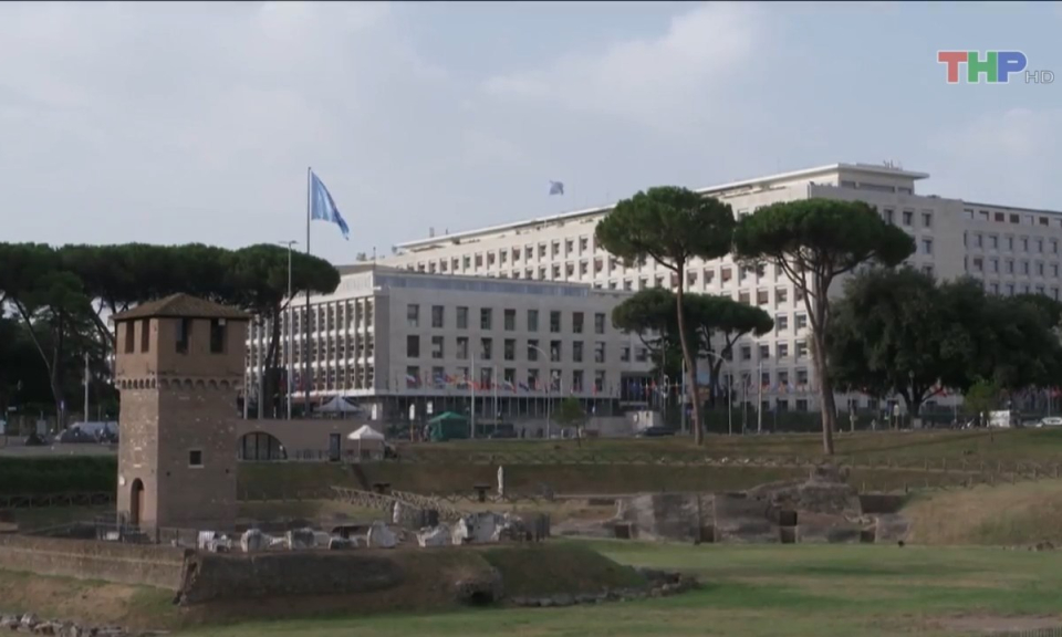 Bản tin thời sự quốc tế (27/7/2023)