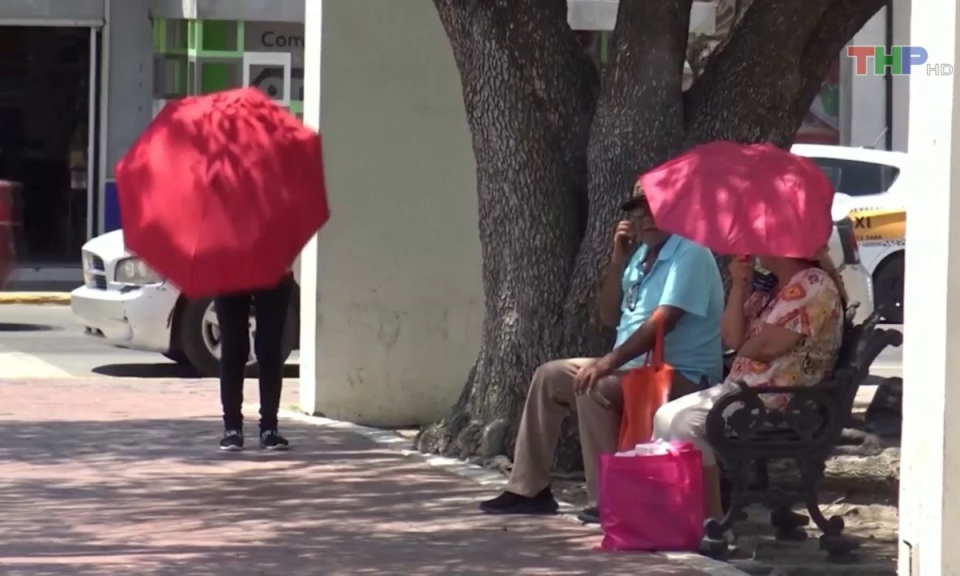 Bản tin thời sự quốc tế (29/7/2023)