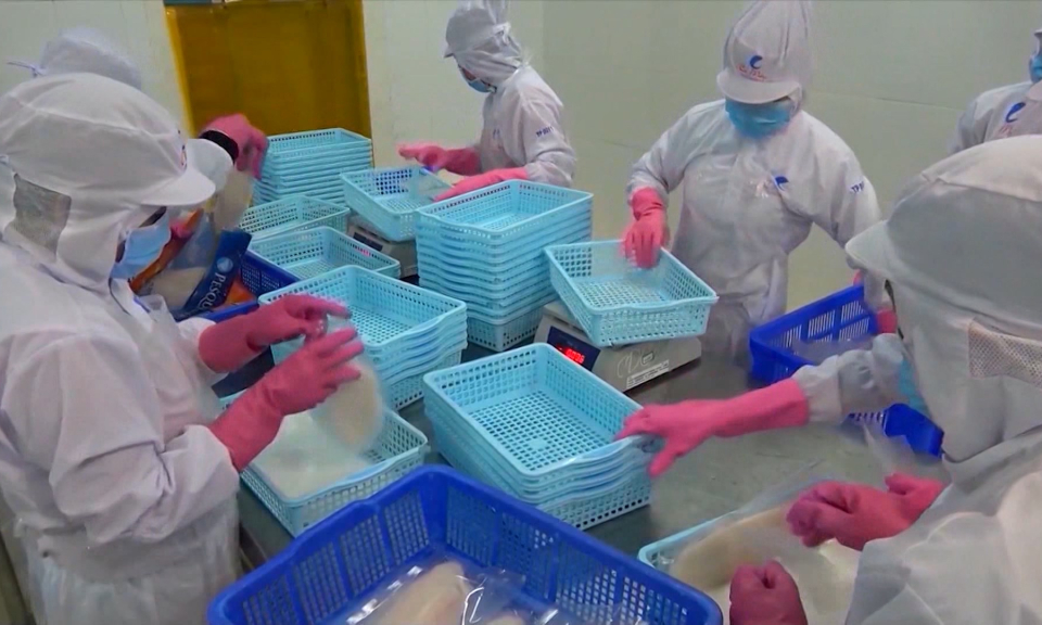 Hải Ph&ograve;ng v&agrave; Th&aacute;i Nguy&ecirc;n li&ecirc;n kết ti&ecirc;u thụ n&ocirc;ng - l&acirc;m - thủy sản