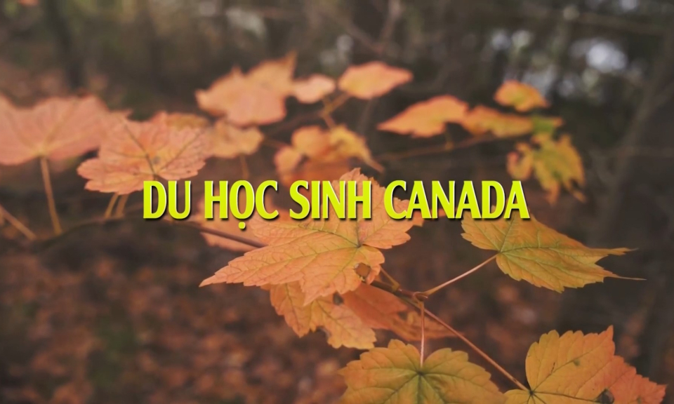Người Hải Ph&ograve;ng xa qu&ecirc; (phần 1): Du học sinh Canada