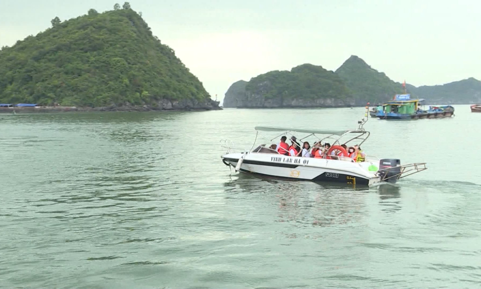 Du lịch C&aacute;t B&agrave; c&aacute;n mốc hơn 1 triệu lượt kh&aacute;ch