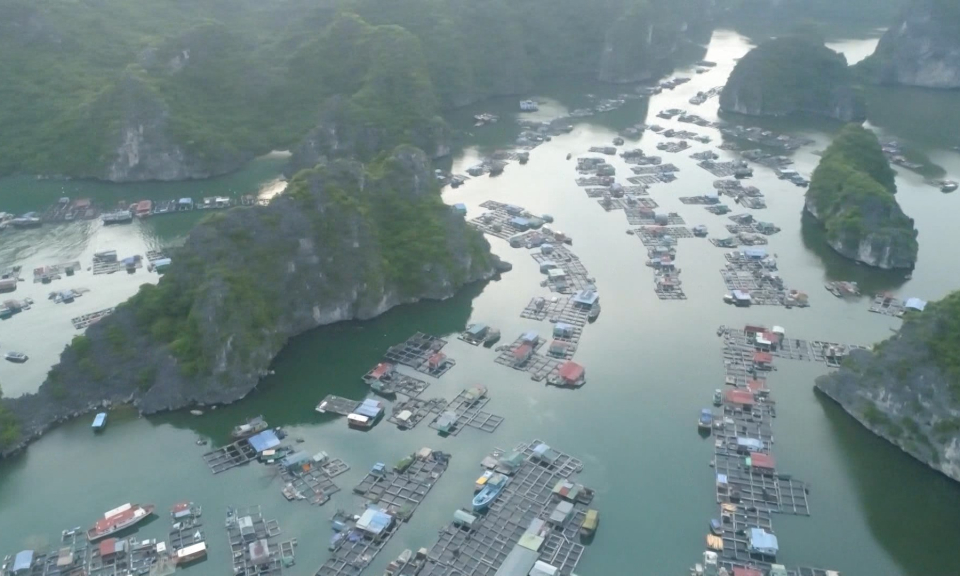 Đại biểu nh&acirc;n d&acirc;n v&agrave; cử tri: Nỗ lực cắt giảm lồng b&egrave; trả lại cảnh quan quần đảo C&aacute;t B&agrave;