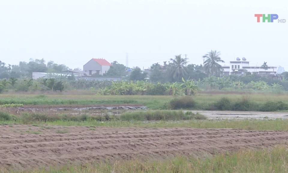 Bản tin thời sự trưa (04/7/2023)