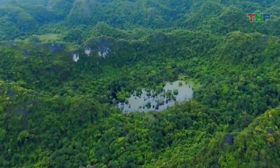 Bản tin thời sự tối (04/7/2023)