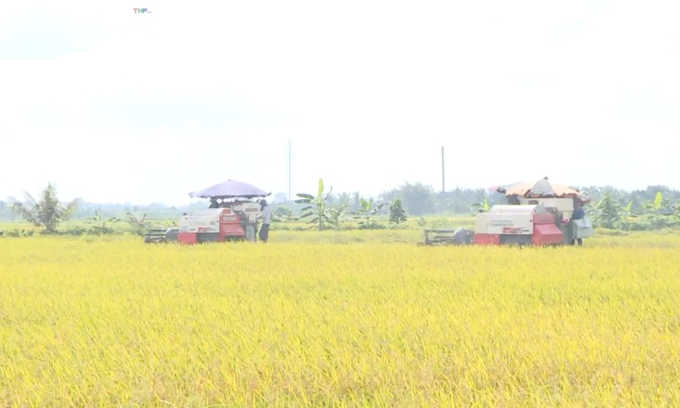 Bản tin thời sự s&aacute;ng (05/7/2023)