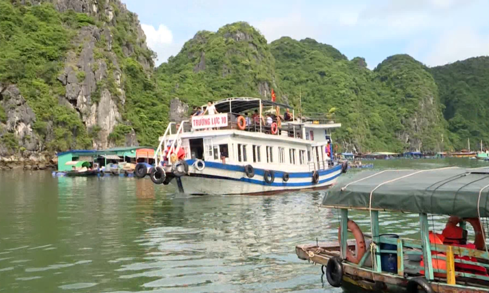 Huyện C&aacute;t Hải đẩy mạnh quy hoạch v&ugrave;ng nu&ocirc;i trồng thủy sản