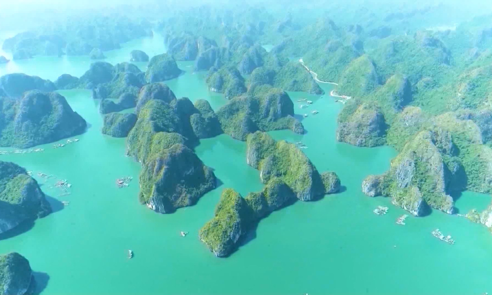 Việt Nam lọt top đầu thế giới về lượt t&igrave;m kiếm du lịch