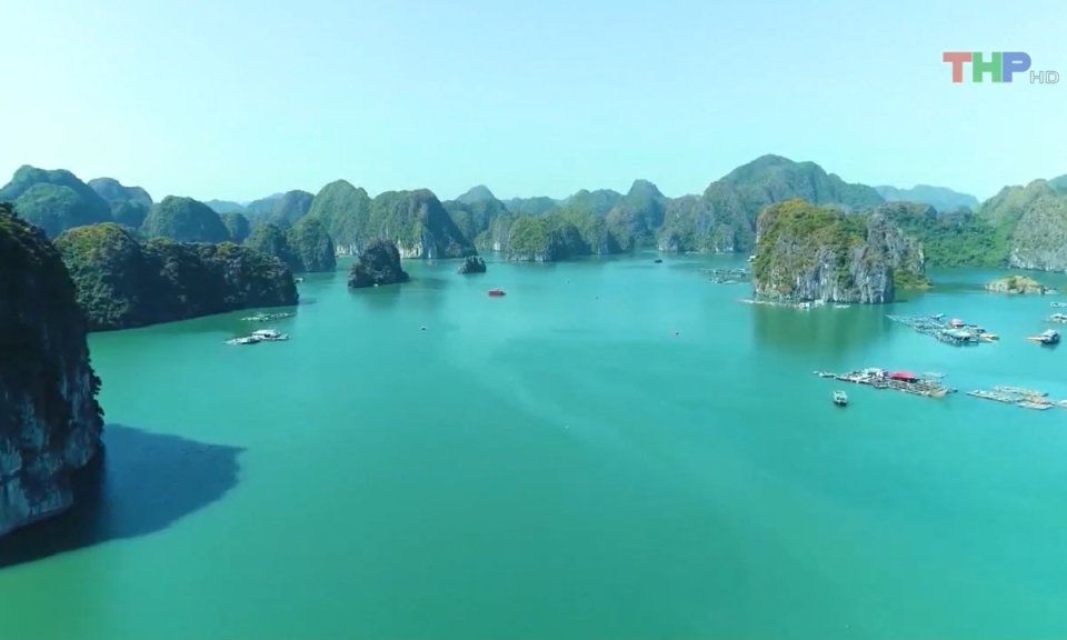 Bản tin Hải Ph&ograve;ng h&ocirc;m nay trưa (05/7/2023)