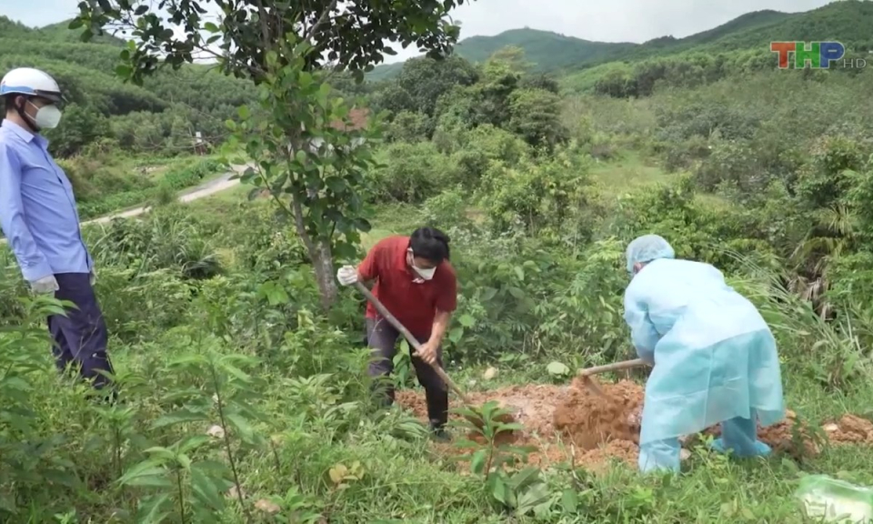 Bản tin Hải Ph&ograve;ng h&ocirc;m nay trưa (06/7/2023)