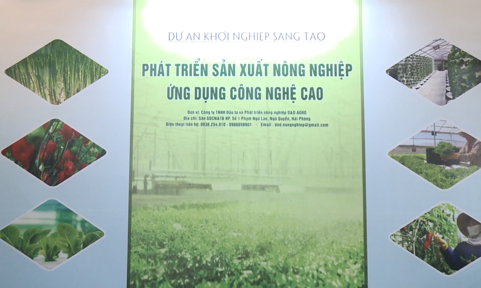 Tuổi trẻ Hải Ph&ograve;ng: Thanh ni&ecirc;n nỗ lực khởi nghiệp trong thời đại mới 