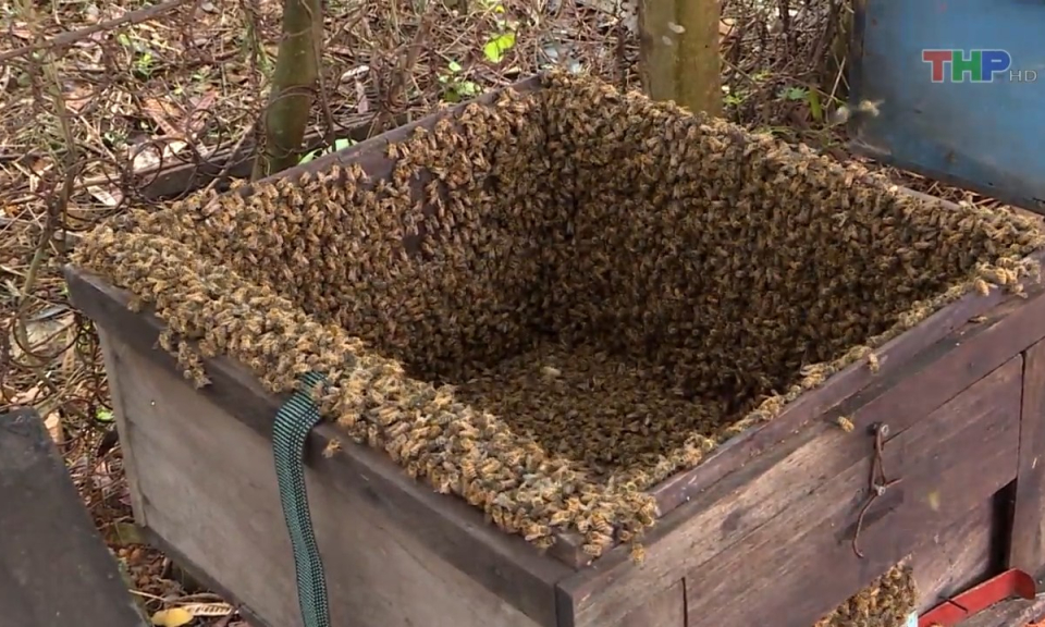 10 ph&uacute;t v&agrave;ng (06/07/2023)