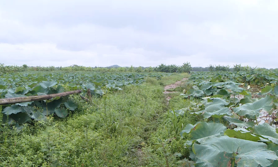 Khoa học c&ocirc;ng nghệ v&agrave; đời sống: Ph&aacute;t triển hệ sinh th&aacute;i khởi nghiệp đổi mới s&aacute;ng tạo             