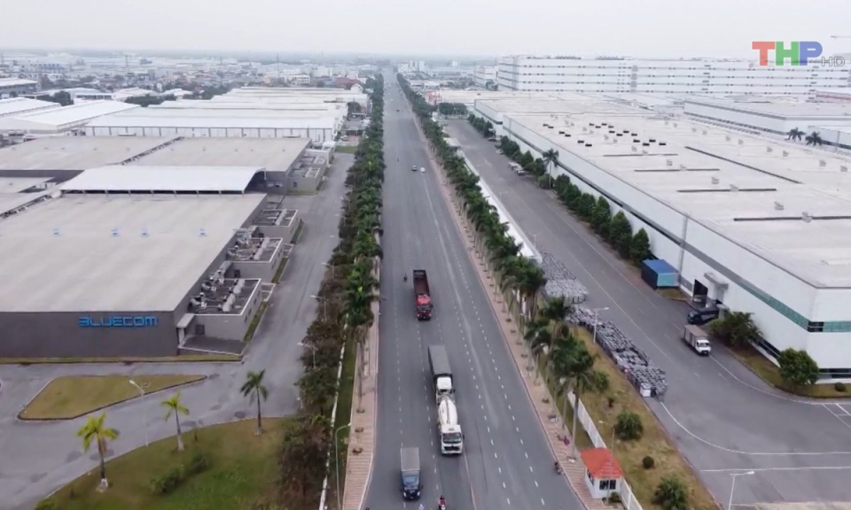 Bản tin Hải Ph&ograve;ng h&ocirc;m nay trưa (08/7/2023)