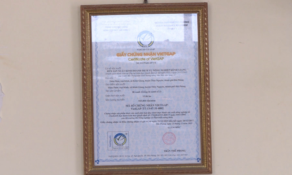 Kinh tế v&agrave; đ&ocirc; thị: Đổi mới để hội nhập