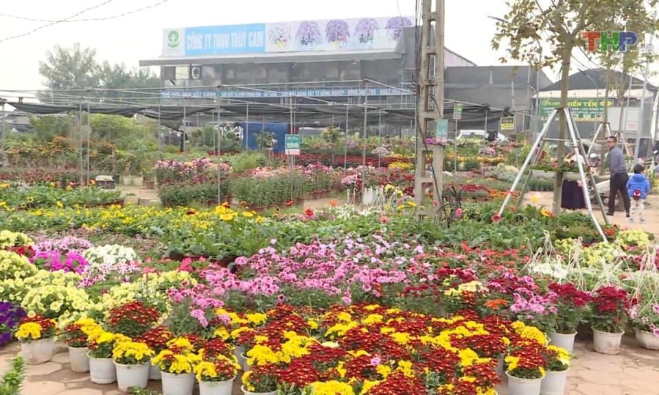 Bản tin Hải Ph&ograve;ng kết nối (02/8/2023)