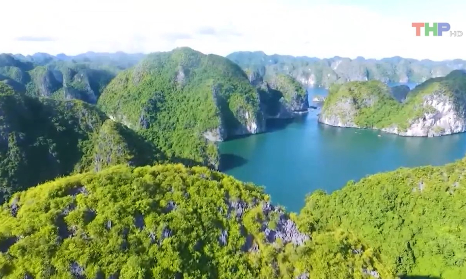 Bản tin thời sự s&aacute;ng (03/8/2023)