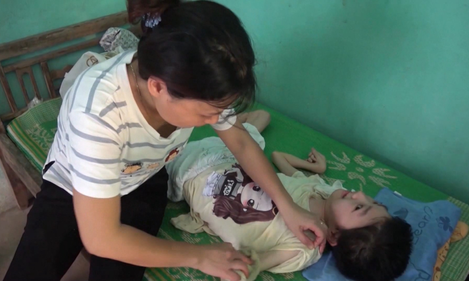 Hải Ph&ograve;ng chung tay khắc phục hậu quả chất độc dioxin