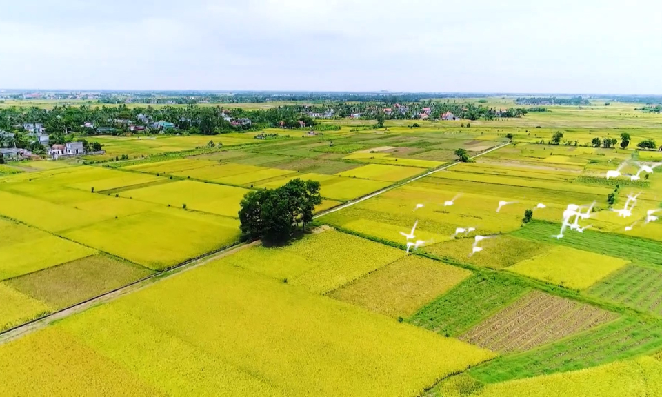 Ph&oacute;ng sự t&agrave;i liệu: Vĩnh Bảo - Kết nối v&agrave; tỏa s&aacute;ng  